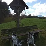 Lejlighed Rheintal Im Alpenvorland Batschuns
