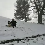 Rheintal Im Alpenvorland