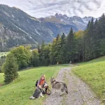 Rheintal Im Alpenvorland Lejlighed *