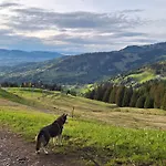 Rheintal Im Alpenvorland