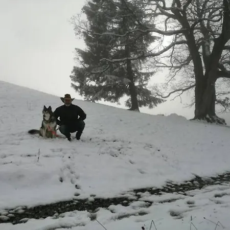 Rheintal Im Alpenvorland