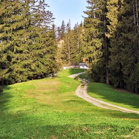 Lejlighed Rheintal Im Alpenvorland *